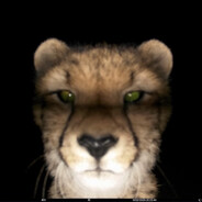 GamingKitty77