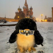 Шпикачка