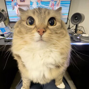 Tetsuya