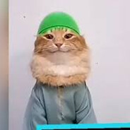 губитель жизней