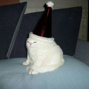 MoewPaw