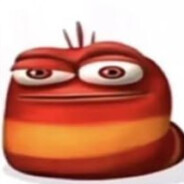 oi oi oi oi