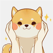 礼仪之星王某