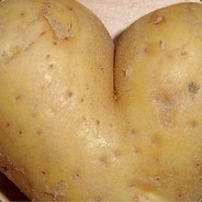 Potato