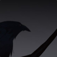 SilkEmbraces