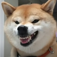 JUN