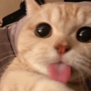 Kus'