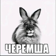 Черемша.