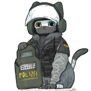 нн чик