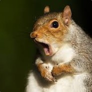 Squirrelton