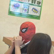 xsandr
