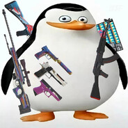面壁者Skipper