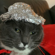 der Führer