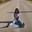 Group Avatar