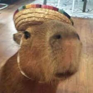 capybara