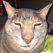 zico