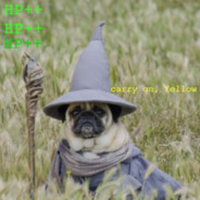 Wizard Pug