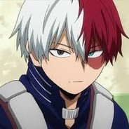 Shoto Todoroki (2)