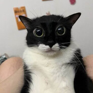 Лолик