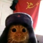 raskol