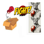 BoxingBoxBoxingBoxingBucks