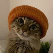 Cat in Autumn Hat ♫
