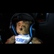 diabetes bear rufus