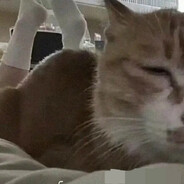 Da Vosk