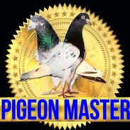 PIGEON MASTER