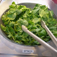 ☆ Spinch ☆