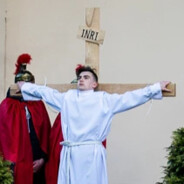 Robertoo Sobieszcza *******