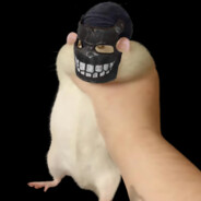 Rat