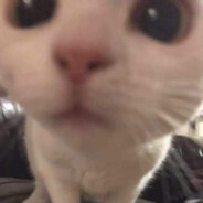 ciupaca