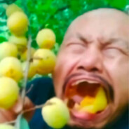 猛踹瘸子那条好腿