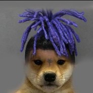 kodakhalfblack
