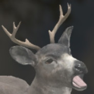 Dr.AssDeer