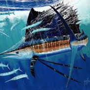 Sailfishmaster