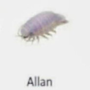 Allan