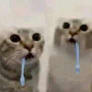 cat.zxc