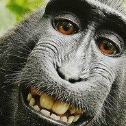 Macaco