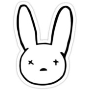 WILDBUNNY