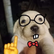 DDDLPG19