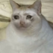 Chonkus Maximus