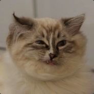 Chonkadee