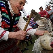 PITUX на ПОДСОСЕ