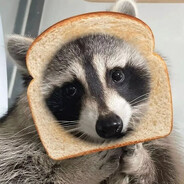 Abi Raccoon