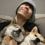 YOLO-dog