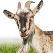 GerryTheGOAT