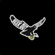 SeekNDestroy