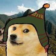 DogePeruano
